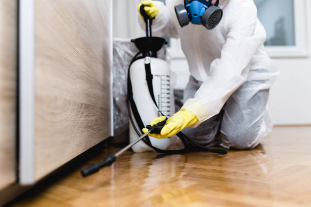 Best Cockroach Control Services  in Royalton, IL