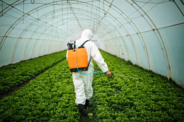 Best Pest Inspection Near Me  in Royalton, IL