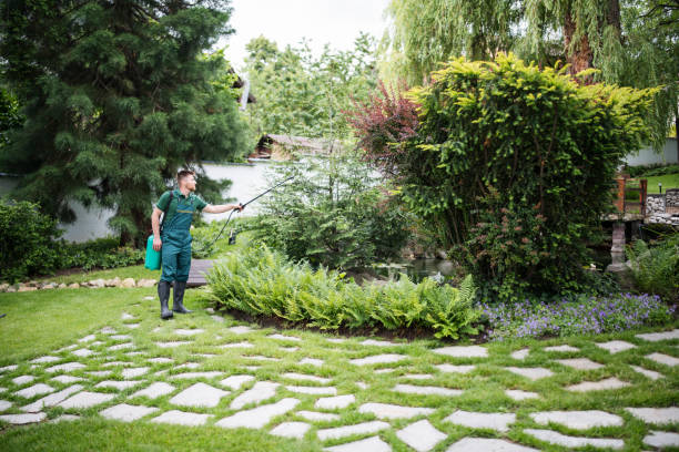 Best Insect Control  in Royalton, IL