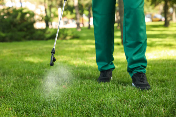Best Spider Control Near Me  in Royalton, IL
