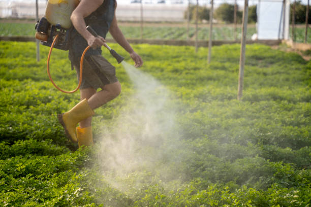 Best Residential Pest Control  in Royalton, IL
