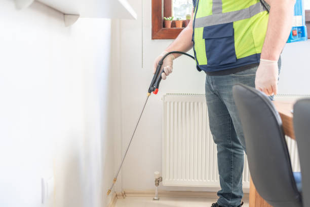 Best Flea Control Services  in Royalton, IL