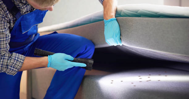 Best Best Pest Control Companies  in Royalton, IL