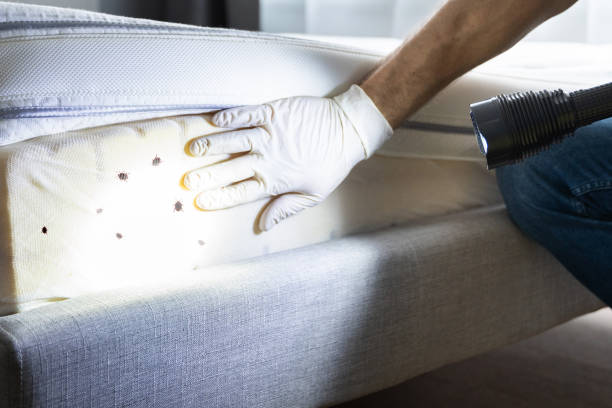 Best Pest Inspection Near Me  in Royalton, IL
