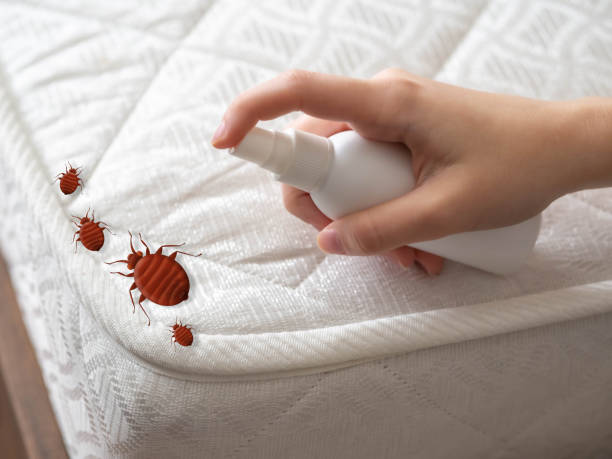 Best Pest Removal Services  in Royalton, IL