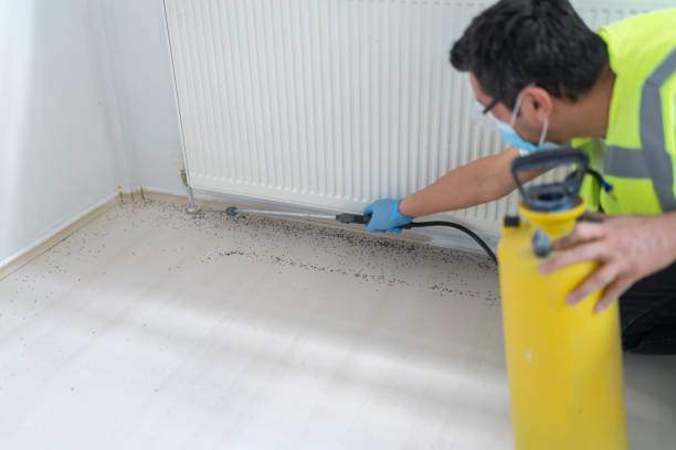 Trusted Royalton, IL Pest Control Experts