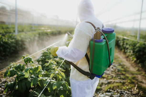 Best Exterminator Services  in Royalton, IL